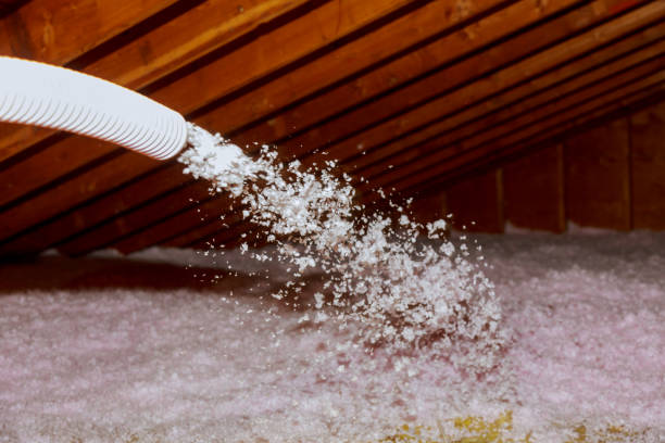 Best Types of Insulation in Harlan, IA